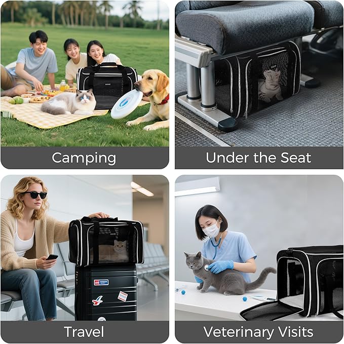 BAGLHER Pet Travel Carrier, Cat Carriers Dog Carrier for Small Medium Cats Dogs Puppies, Airline Approved Small Dog Carrier Soft Sided, Collapsible Puppy Carrier. Black