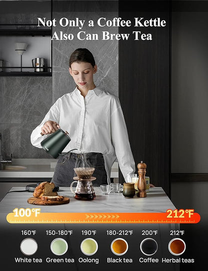 KLEAH Gooseneck Electric Kettle
