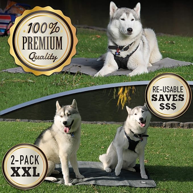 Washable Pee Pads for Dogs XXL (2 Pack), Reusable Puppy Training Pads, Ultra Absorbent & Waterproof Pet Mat for Senior Dogs, Non-Slip, Floor & Furniture Protector (36"x48") by Trendy Den Creations