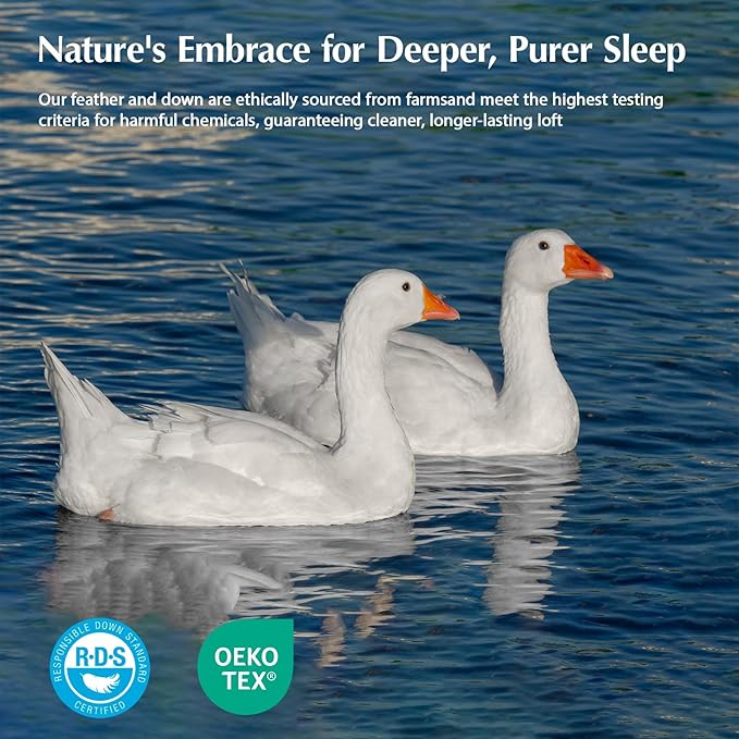 Pacific Coast Goose Feather Down Fiber Comforters Full Size, Extra Fluffy White Duvet Insert, Ultra-Soft, Breathable, All Season Hotel Luxury Bedding Comforters, 8 Corner & Center Loops (82"x86")