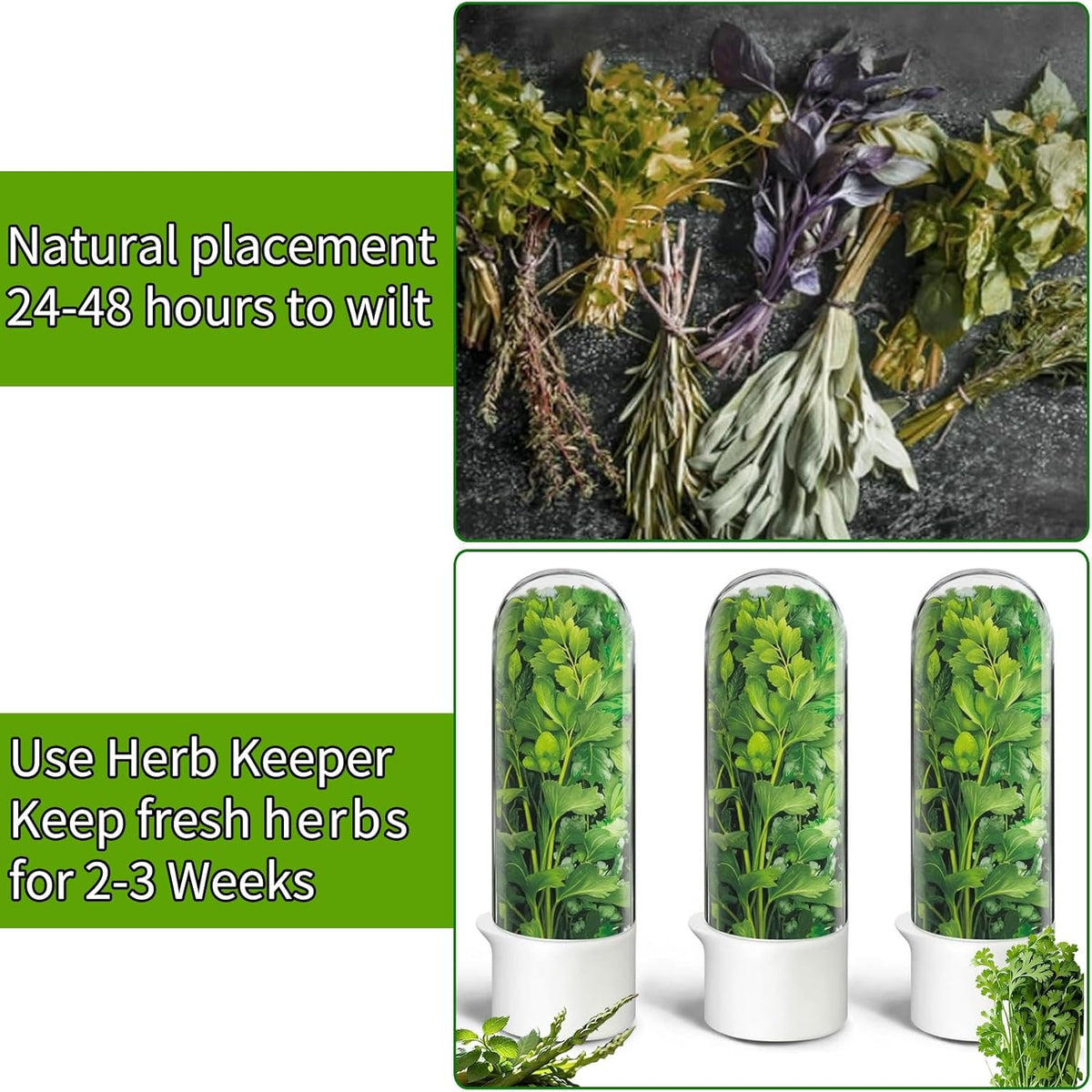Herb Saver for Refrigerator, Herb Saver Pod Cilantro Containers for Refrigerator, Fresh Herb Keeper for Cilantro, Parsley, Asparagus, Mint, Keeps Greens Vegetables for 2-3 Weeks (Herb Keeper 2Pack)