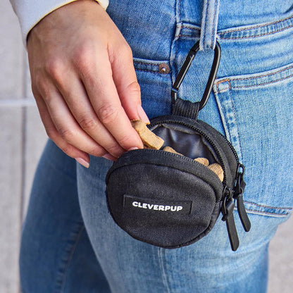Snackpack Double Insulated Dog Treat Pouch - Holds 1.5 Cups - Dog Training and Walks Snack Bag, Two Pockets for Dry or Wet Treats, Attaches to Leash, Belt, or Bag - Graphite