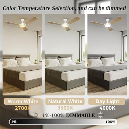 SMAAIR 52 Inch Smart Wifi Ceiling Fans