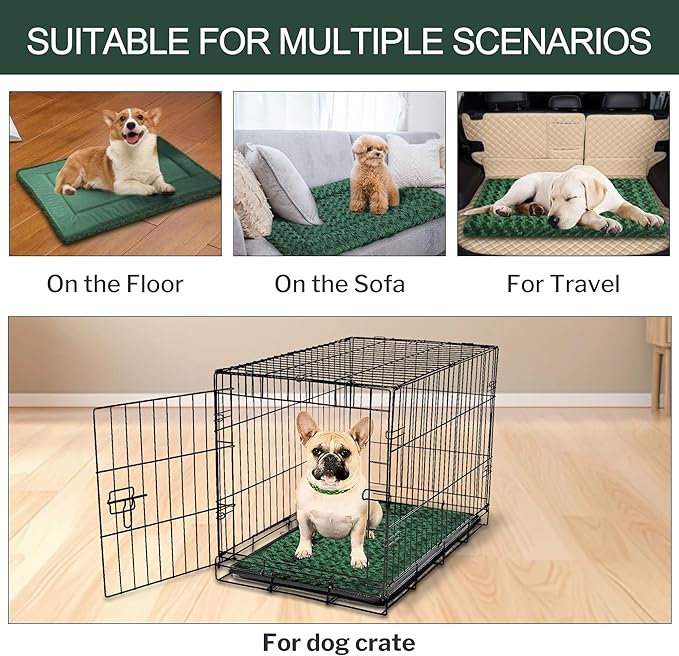 WITTOP Washable Dog Bed Plush Orthopedic Outdoor Crate Mat with Non-Slip Bottom,Luxe Soft Kennel Pad for Pets,Cozy Cage Cushion & Pet Sleeping Mattress Large Sized,Medium,Small Dogs,24 x 18 inch,Green