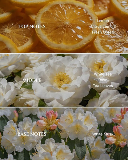 Aromadd White Tea Diffuser Oil Inspired by Luxury Hotel Scent, Essential Oils