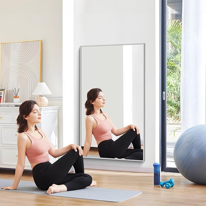30x55In Silver Bathroom Mirror for Wall, Brushed Nickel Rectangle Mirrors