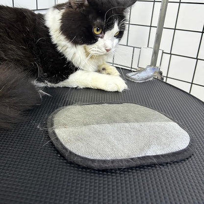 2PCS-Pet Hair Remover Gloves for Cats & Dogs&clothes with Reusable Electrostatic, Pet Grooming Gloves & Fur Removal Tool, Works on Clothing, Couch, Furniture, Curtain, Carpet, Car Seat and so on