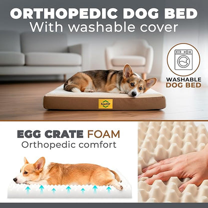Medium Dog Bed Orthopedic | Cama para Perros | Crate Dog Bed Washable | pet beds for Medium Dogs | Puppy beds | Camas para Perros | Pet BeDs for Small Dogs