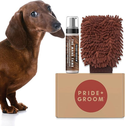 Pride and Groom The MITT KIT: A Waterless Bath for Dogs - Foaming Dry Shampoo and a Pet Sensitive Glove for a Rinse Free Cleanse and to Eliminate Odor