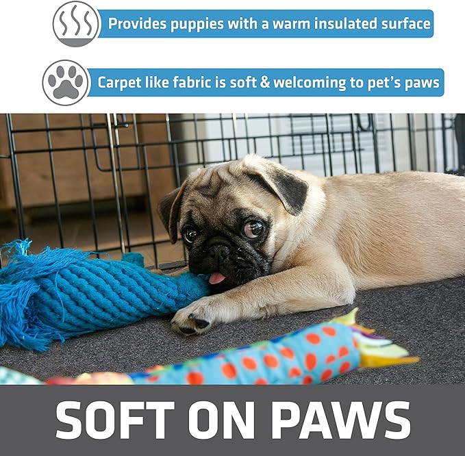 Drymate 2-Pack Jumbo Dog Playpen Mat (60x74), Absorbent, Waterproof, Slip-Resistant, Machine Washable, Reusable Puppy Pad for Training, Whelping, Housebreaking, Incontinence, Crate, Kennel (USA Made)